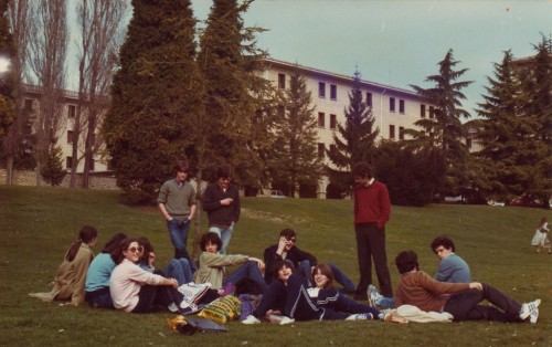 Esplendor en la hierba